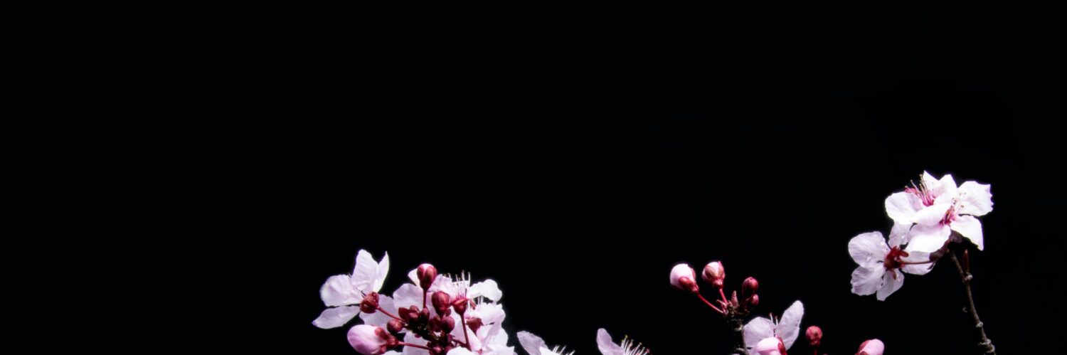Header Background Image